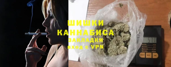 мяу мяу мука Белокуриха
