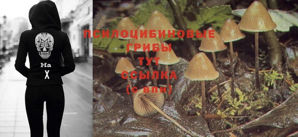 ECSTASY Беломорск